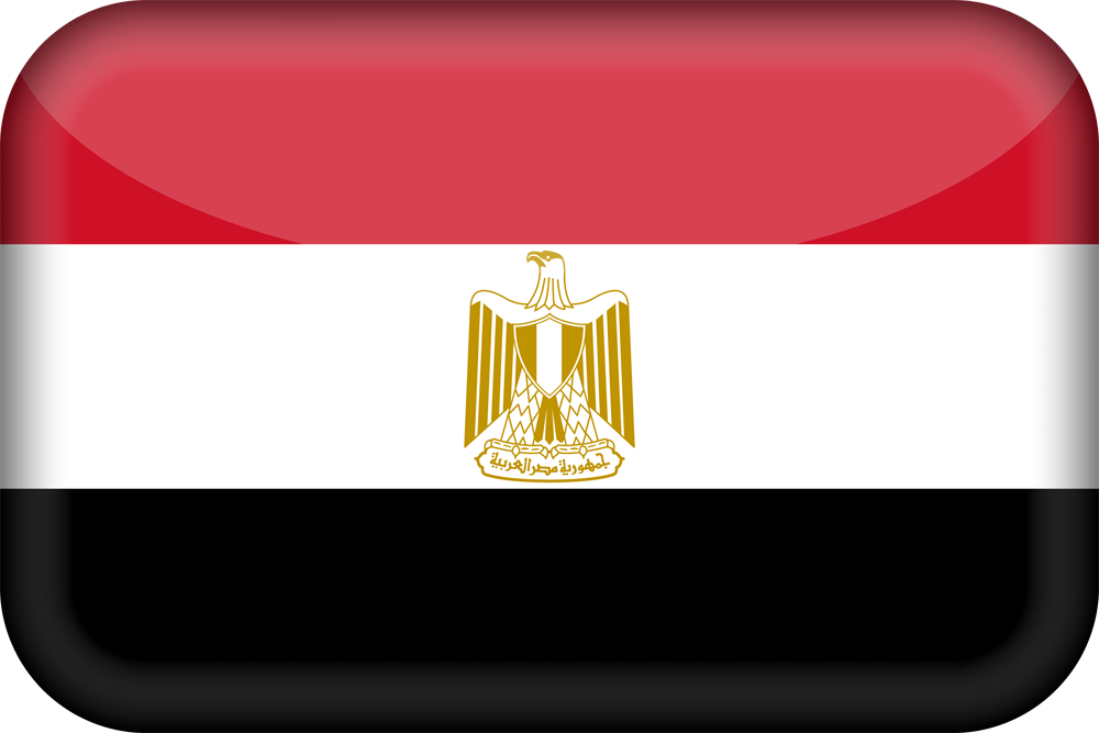  شركاء النجاح