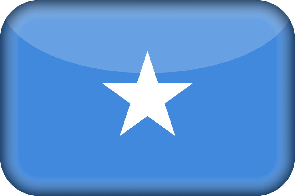  شركاء النجاح